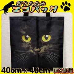 ▲黒猫　フェイス【トートバッグ】ブラック✦エコバッグ✦折りたたみ✦猫　ねこ✦新品