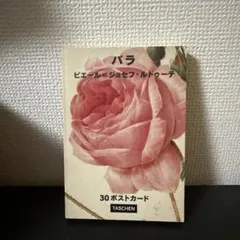 バラ ポストカード 30枚 TASCHEN タッシェン 2026年最新】taschen ポストカードの人気アイテム - メルカリ