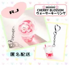 BT21 RJ minini ウォーターキーリング ③