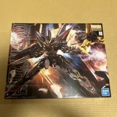 【コロ太郎様専用】MG ブリッツガンダム