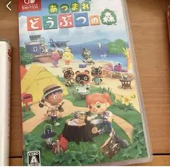 あつまれどうぶつの森　ケースのみ