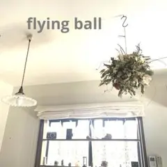 Item thumbnail for item dafc0e4b-4883-41d3-b738-29facf064067