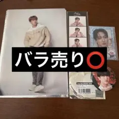 StrayKidsスキズ SKZOOチャンビングッズ19点