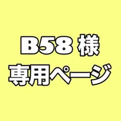 B58 様専用ページ