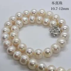 【テリ強✨】本真珠 大珠 ネックレス パール 10.7〜12.0mm 干渉色◎