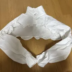 フリル付きホワイトクロップドシャツ