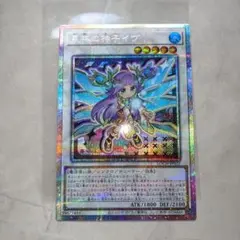 tt.ygo様 リクエスト 2点 まとめ商品