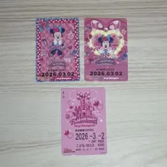 ミニーの日 リゾラ フリーきっぷ 期限切れ 3枚セット
