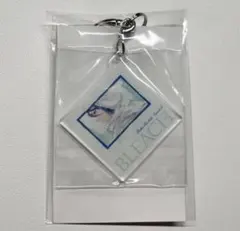 BLEACH EX. オリジナルレコードジャケットキーチェーンコレクション②