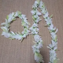 マウナロア レイ ハク セット フラダンス 白