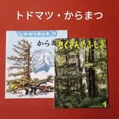 たくさんのふしぎ かがくのとも トドマツ からまつ 福音館 - メルカリ
