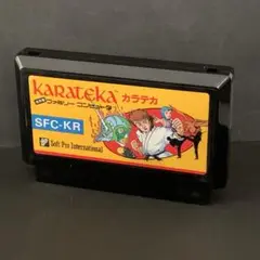 カラテカ　ファミコンソフト　まとめ買い歓迎