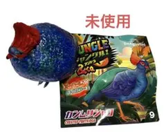 【未使用】　ジャングル&co. アンドコ　カンムリシャコ