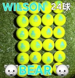 Wilson 　BEAR 24球 【2ダース分】イエロー