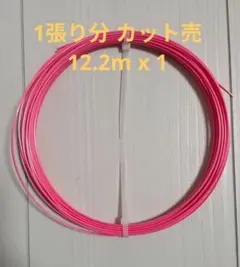 ソリンコ コンフィデンシャルソフト 125 1張り分 12.2mカット品