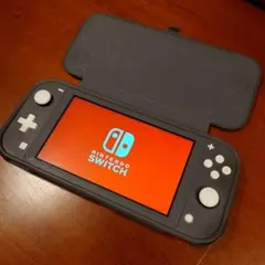 Nintendo Switch Lite グレー ケース付き