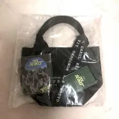 IVE SCOUT ファンコン VIP特典 トレカ6枚コンプ