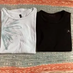 ダンスキンＴシャツ2枚セット