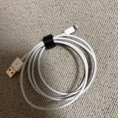 Apple Lightningケーブル 本体