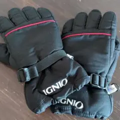 IGNIO ブラック グローブ 150cm