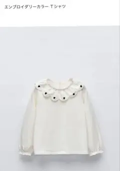 ZARA ザラ　エンブロイダリーカラー Tシャツ 116cm 長袖　ロンT