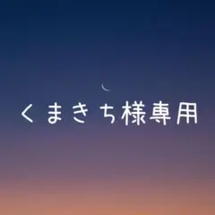 【くまきち様】天然石ピアス おまとめ2点