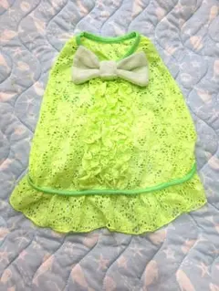 Item thumbnail for item f1ae7641-b269-49c4-a164-5711bb21e72a