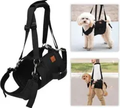 Item thumbnail for item a91adc3f-f576-4c6a-9cc2-62ef1936294b