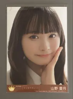 山野愛月 ミニフォト、生写真 - メルカリ