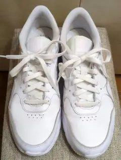 Nike Air Max SC LEA ホワイト スニーカー