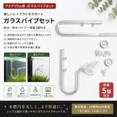2026年最新】リリィーパイプの人気アイテム - メルカリ