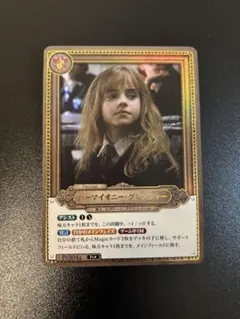 2026年最新】ハーマイオニー・グレンジャー Pt☆の人気アイテム - メルカリ