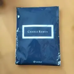 CHARLE REMUS メンズトップ 半袖V首 ホワイト S
