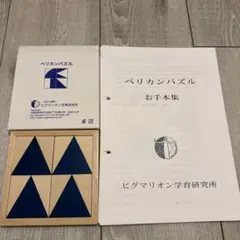 ピグマリオン学育研究所 ペリカンパズル／お手本集28ページ 知育玩具