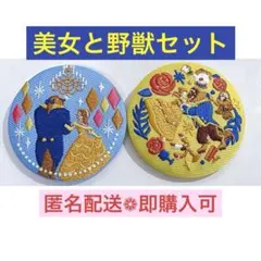 ディズニー 刺繍缶バッチ 美女と野獣 2種セット