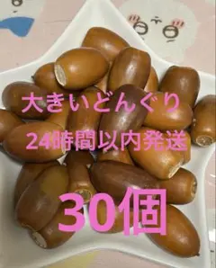 大きいどんぐり　　30個