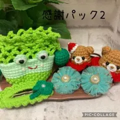 フォロワー様限定　感謝パック2 (600円)