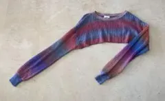 W.W.G グラデーション クロップドニット　春