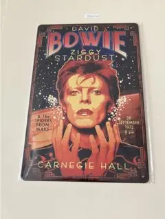 DAVID BOWIE デヴィッド・ボウイ ブリキ看板 インテリア