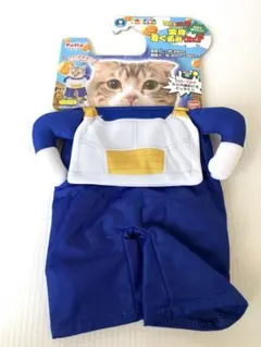 Item thumbnail for item 11dd09ab-6f01-41af-906a-85949fc0db0e