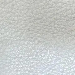 ミミズ様