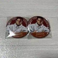 ヒロアカ エンデヴァー 缶バッジ