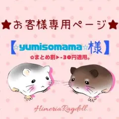 ☆yumisomama☆様 リクエスト 2点 まとめ商品