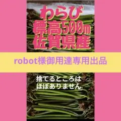 ⑩robot 様御用達専用山の天然わらび標高500m佐賀県産ネコポスワラビ蕨山菜