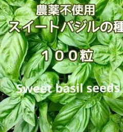 パン様 リクエスト 2点 まとめ商品