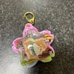 京都限定 柴犬 ストラップ　キーホルダー