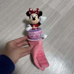 ミニーマウス ディズニーリゾート