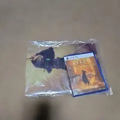 動作確認済中古　PS5 ビーストオブリンカネーション　クリアファイル付