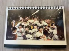 2026年最新】ジャイアンツシーズンシートの人気アイテム - メルカリ