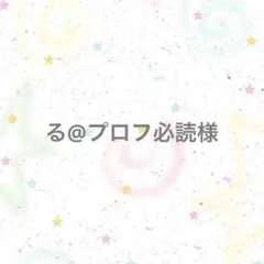 【専用ページ】る@プロフ必読様